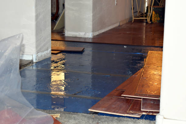 Professional Burst Pipe Cleanup technician working in Mount Pleasant, TX